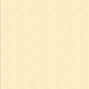 Meet your Posher, Manali